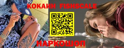 spice Кунгур