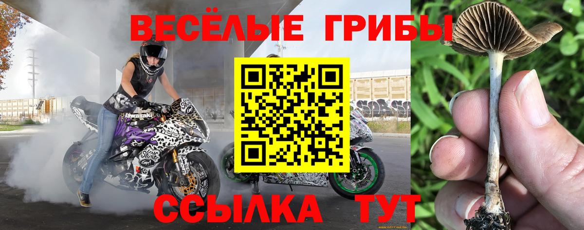 Изобильный  Галлюциногенные грибы Cubensis  купить наркотик  Вход с VPN 