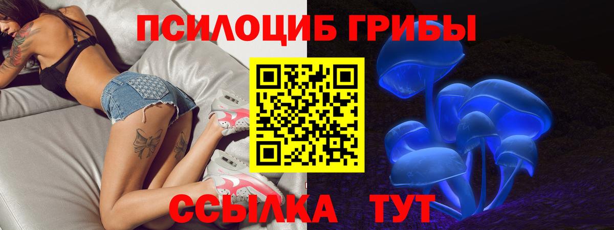 Галлюциногенные грибы Cubensis Изобильный